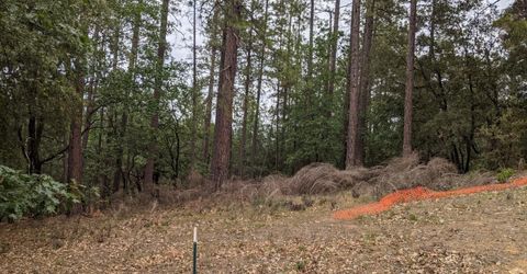 2 Eden Forest Dr, Colfax, CA 95713 Photo