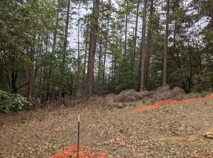 2 Eden Forest Dr, Colfax, CA 95713 Photo