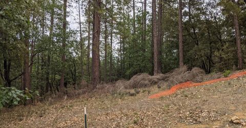 2 Eden Forest Dr, Colfax, CA 95713 Photo