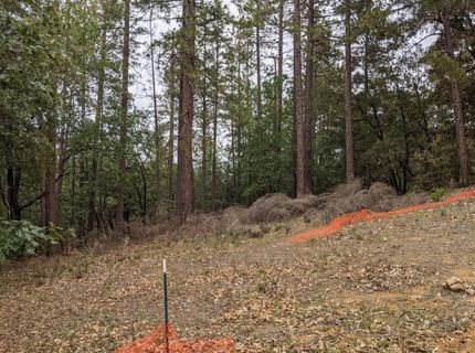 2 Eden Forest Dr, Colfax, CA 95713 Photo