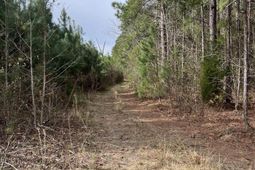 5684 Moses Dingle Road photo 4