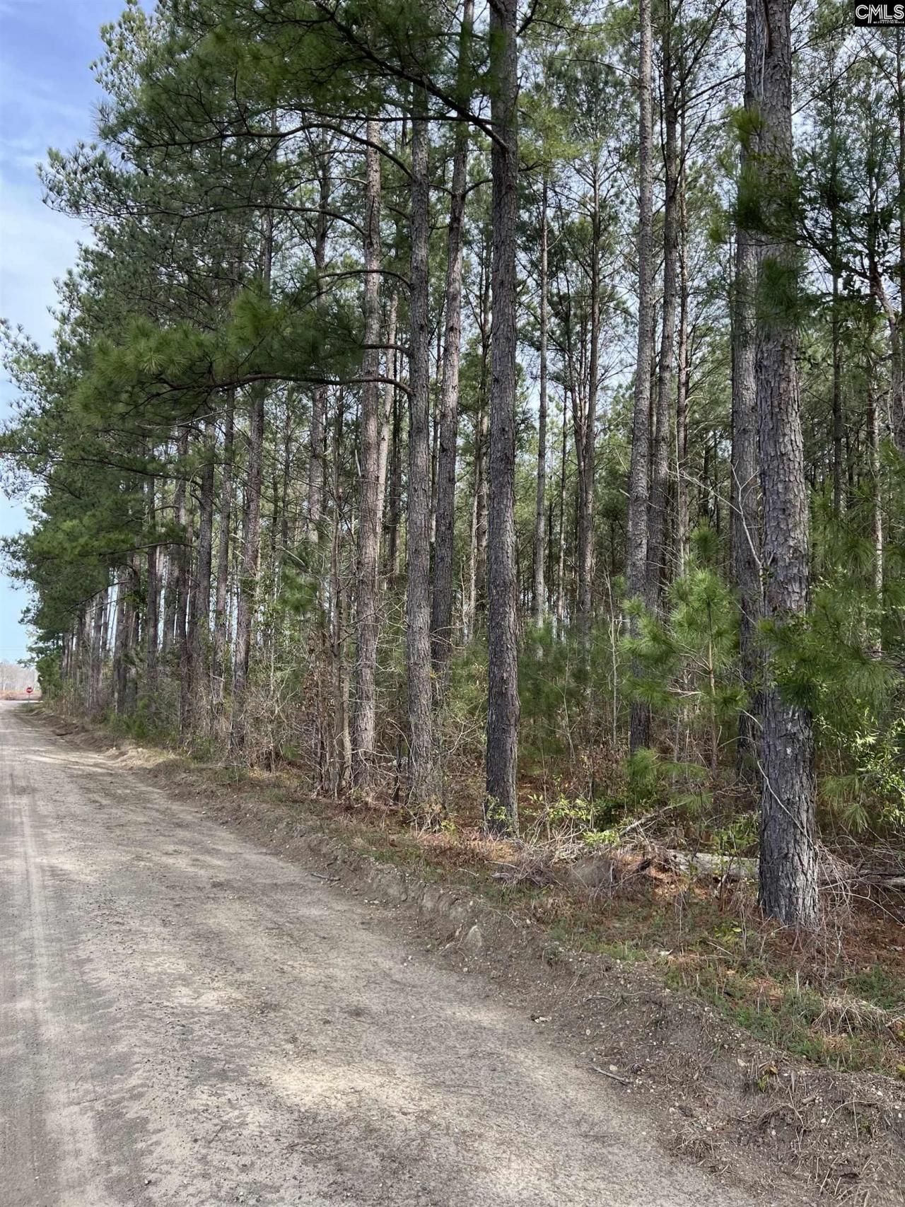 5684 Moses Dingle Road Photo 4