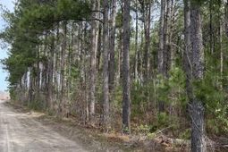 5684 Moses Dingle Road photo 4