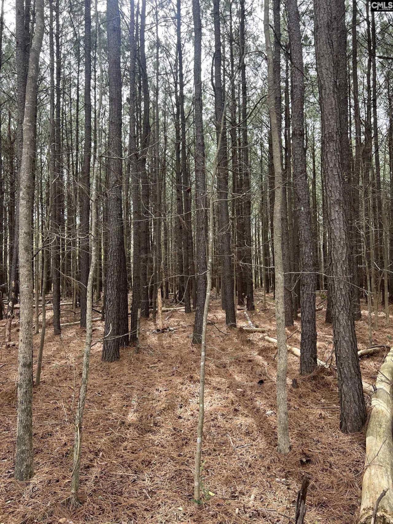 5684 Moses Dingle Road Photo 6