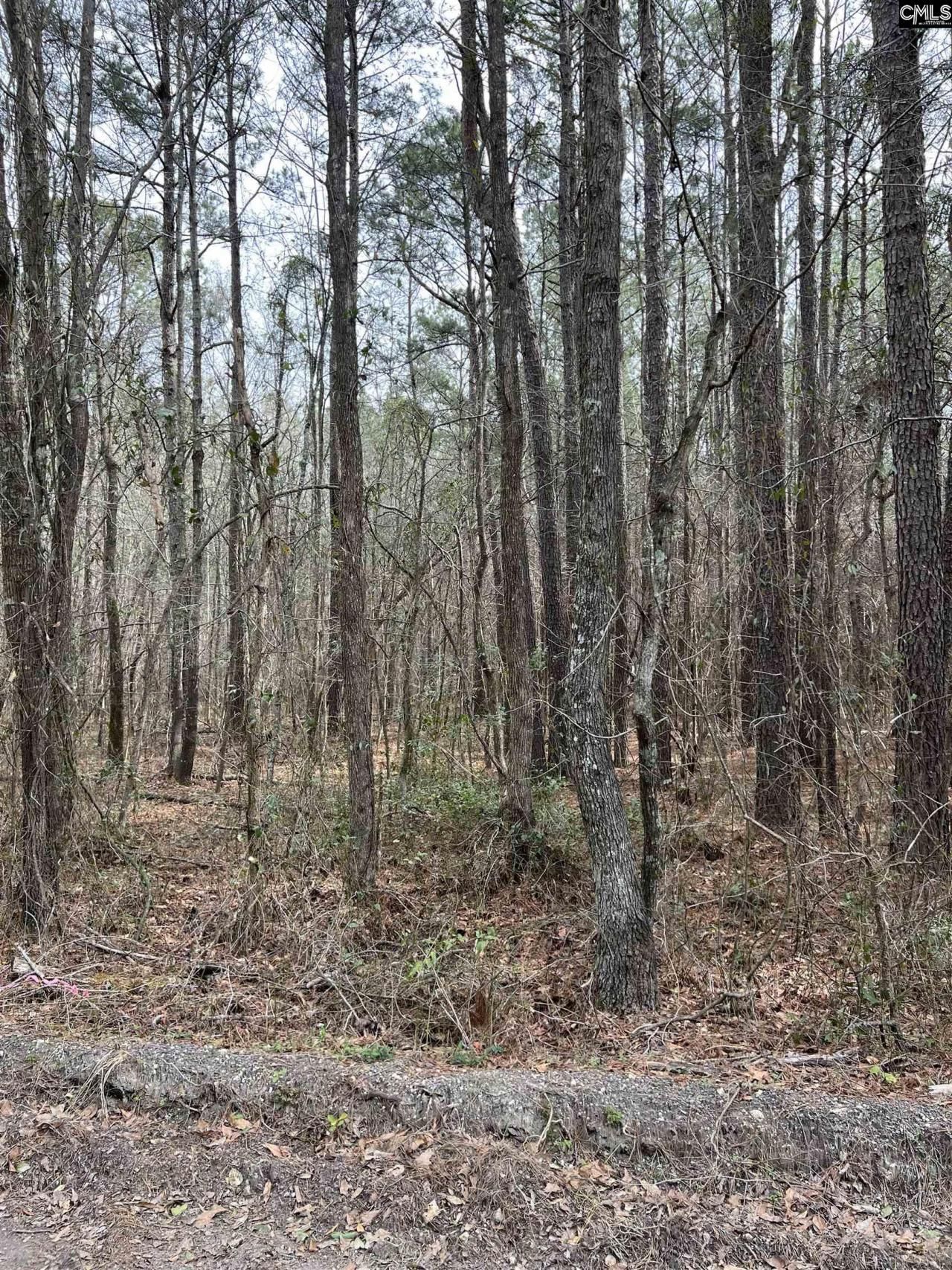 5684 Moses Dingle Road Photo 7