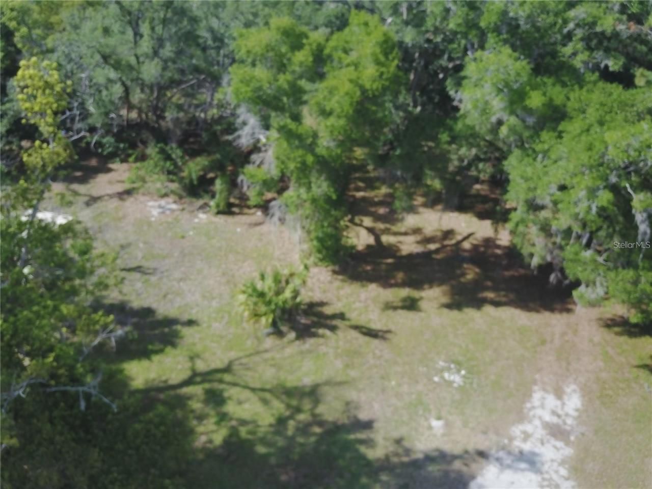 3377 Riverside Park Road, Orlando, FL 32810 Photo