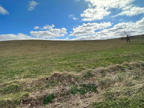 251 Finnell Pike, Cynthiana, KY 41031