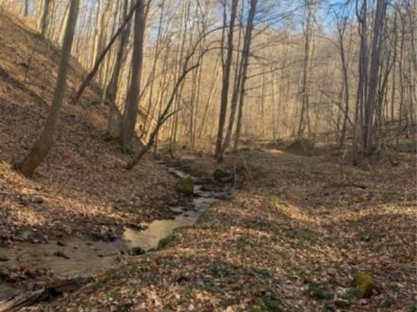 TBD Buckeye Creek Road, Sutton, WV 26601