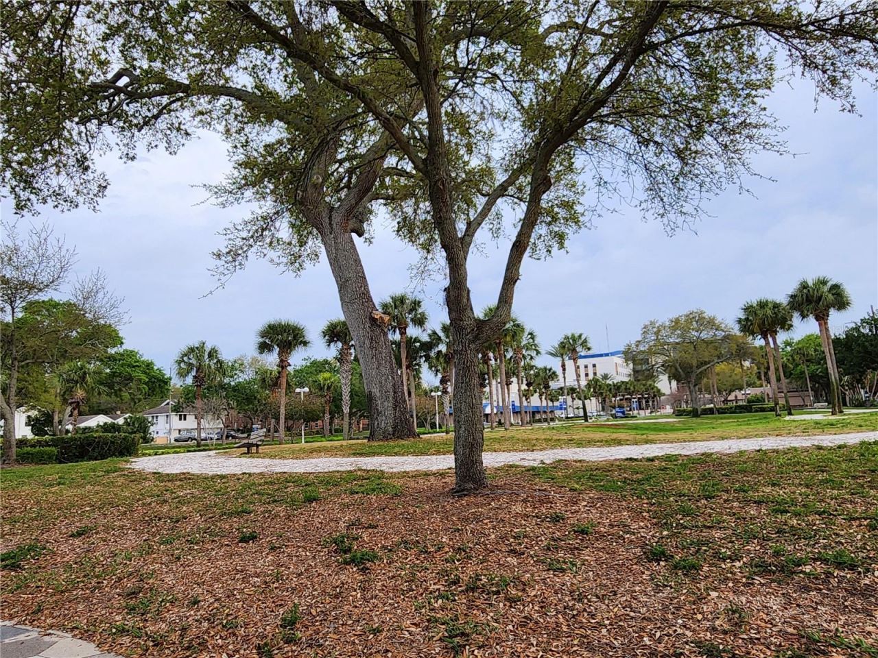 1315 9th Avenue N, Saint Petersburg, FL 33705 Photo