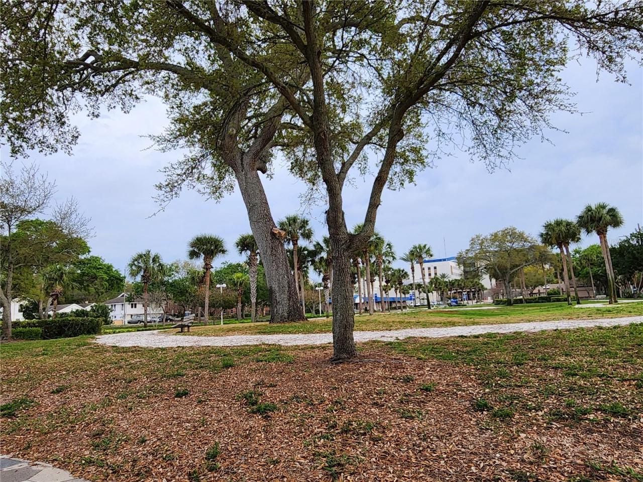 1315 9th Avenue N, Saint Petersburg, FL 33705 Photo