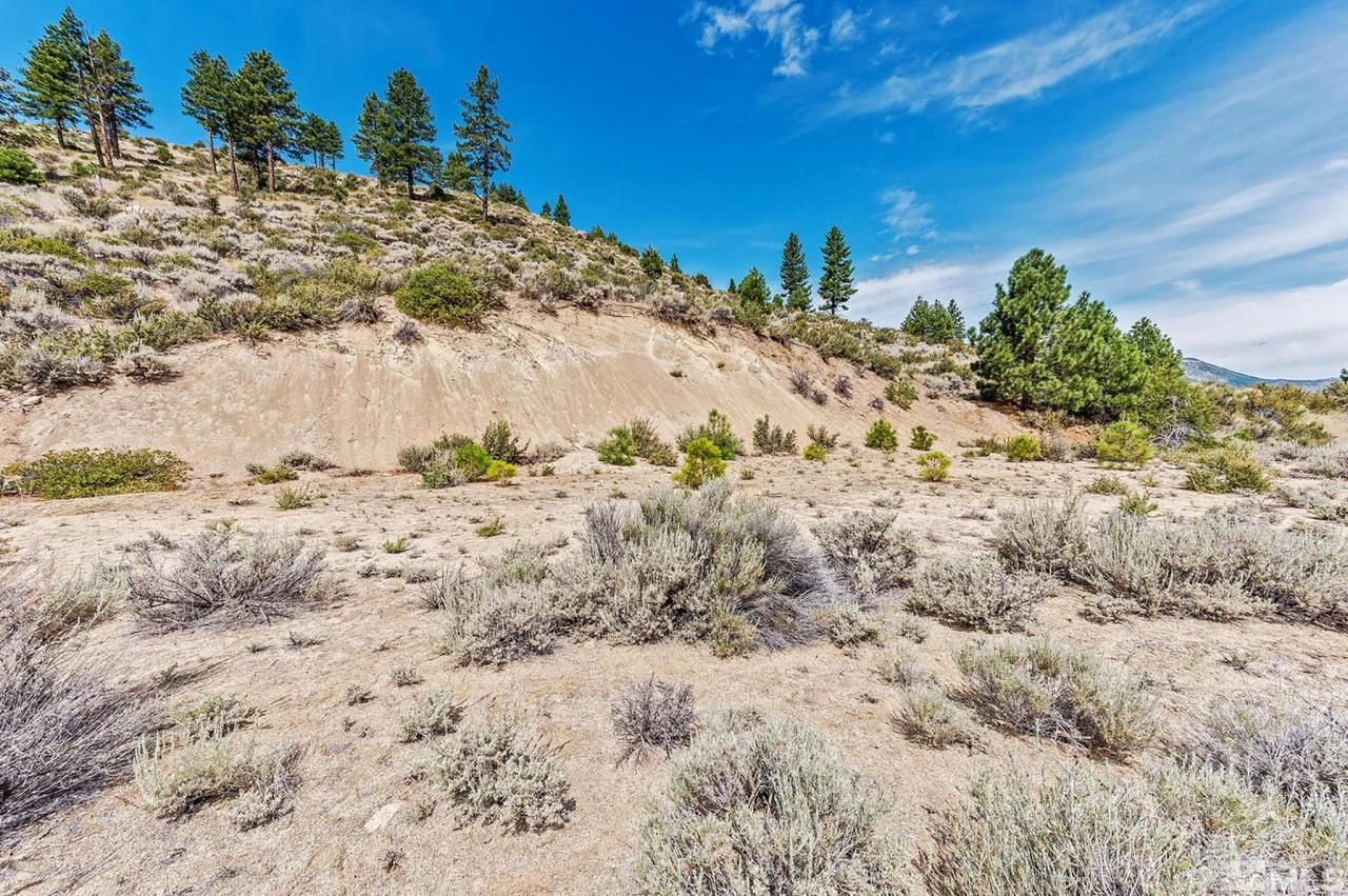0 Bryan Canyon Road, Washoe Valley, NV 89704 Photo