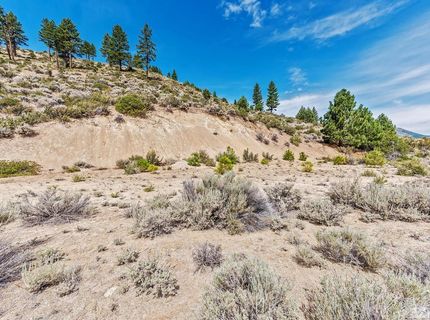 0 Bryan Canyon Road, Washoe Valley, NV 89704 Photo