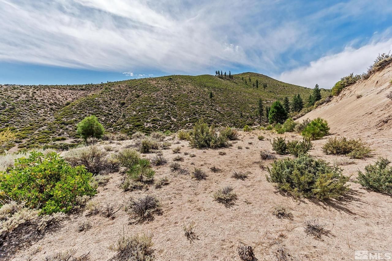 0 Bryan Canyon Road, Washoe Valley, NV 89704 Photo