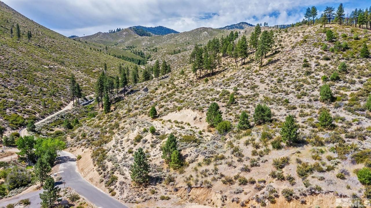 0 Bryan Canyon Road, Washoe Valley, NV 89704 Photo
