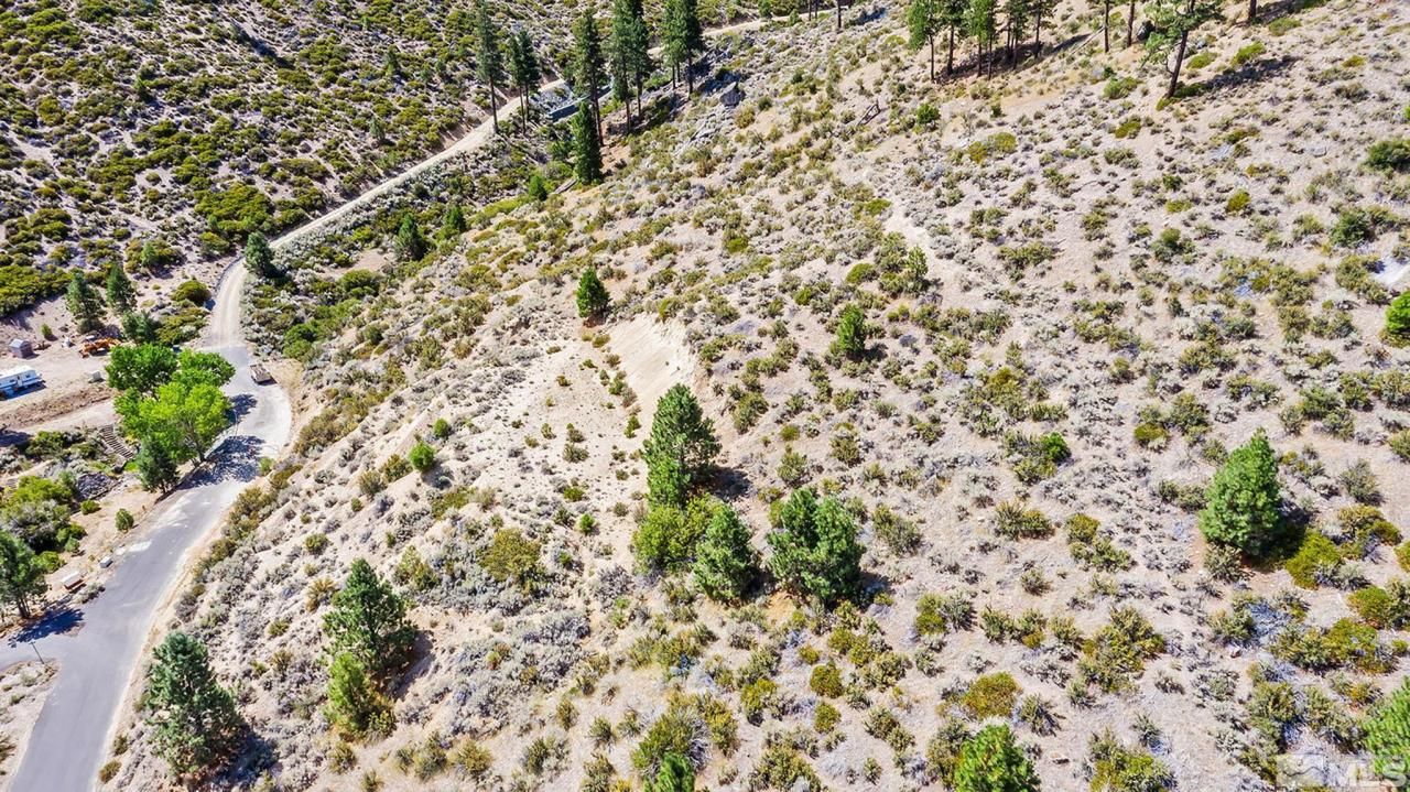 0 Bryan Canyon Road, Washoe Valley, NV 89704 Photo