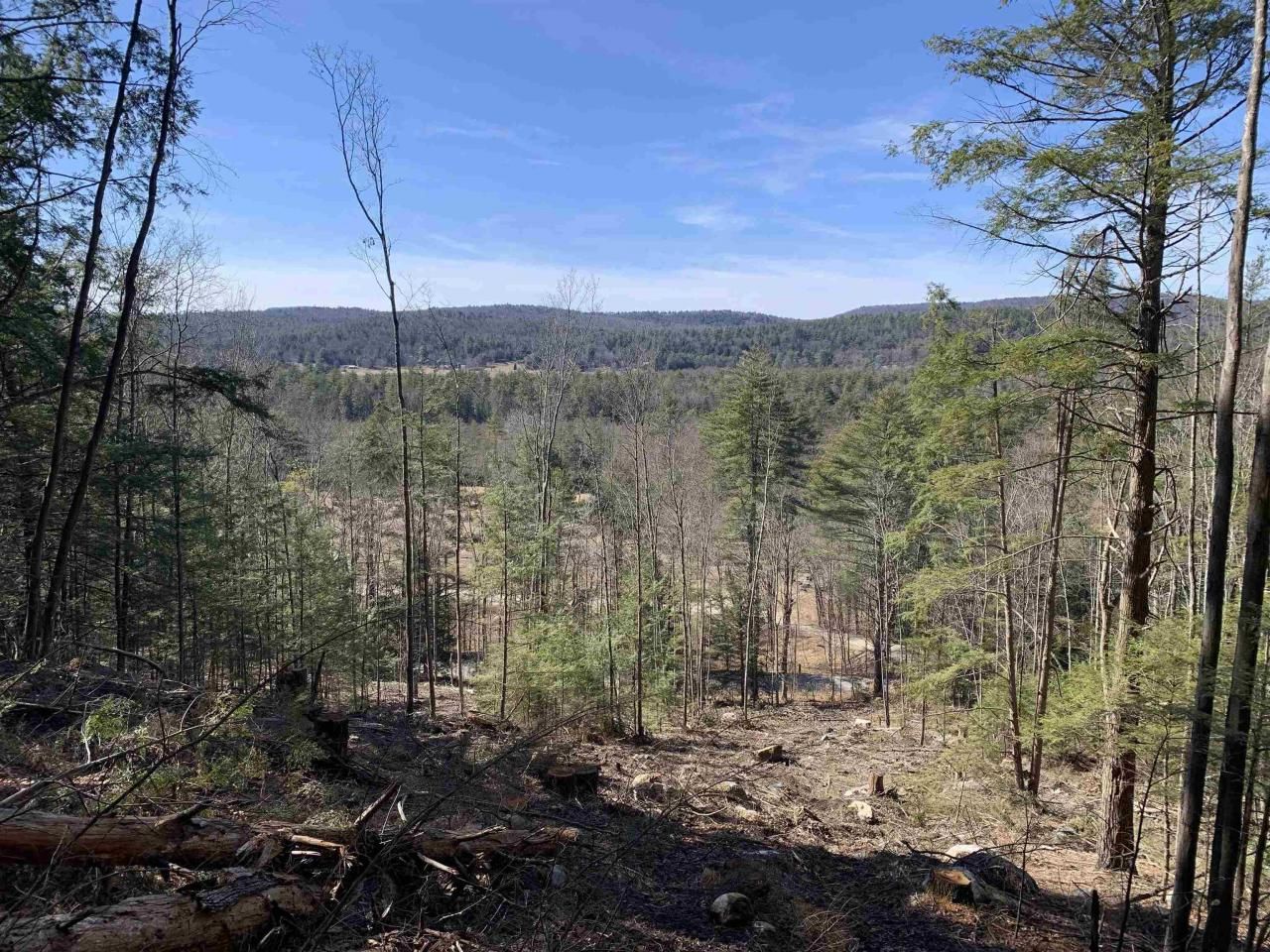 Map3 Lot9 Scotland Road, Winchester, NH 03470 Main Photo
