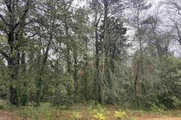 1951 Forest Drive photo 4