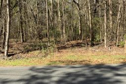 5037 Doctor Taylor Road photo 4