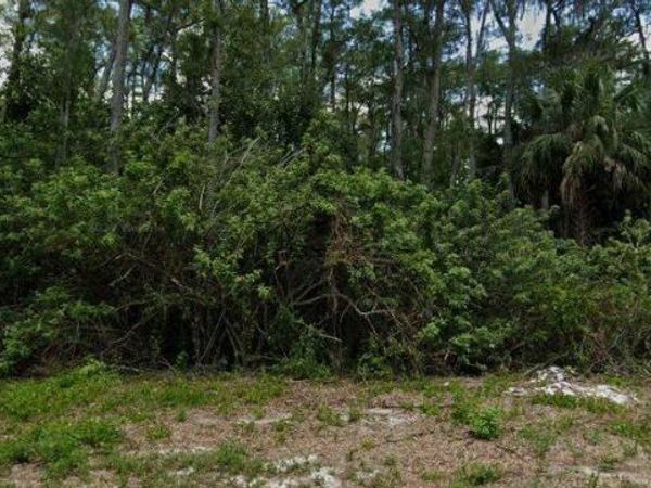 668 KNAPP STREET, LEHIGH ACRES, FL 33974