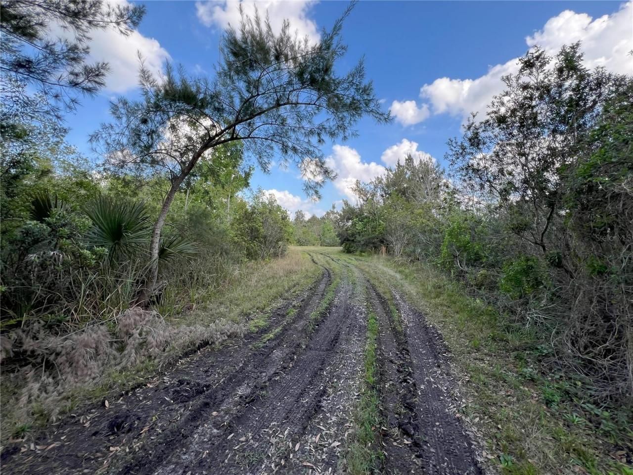 2801 Eunice Avenue, Orlando, FL 32808 Photo