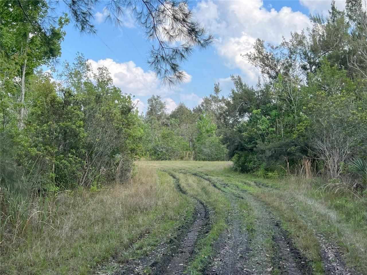 2801 Eunice Avenue, Orlando, FL 32808 Photo