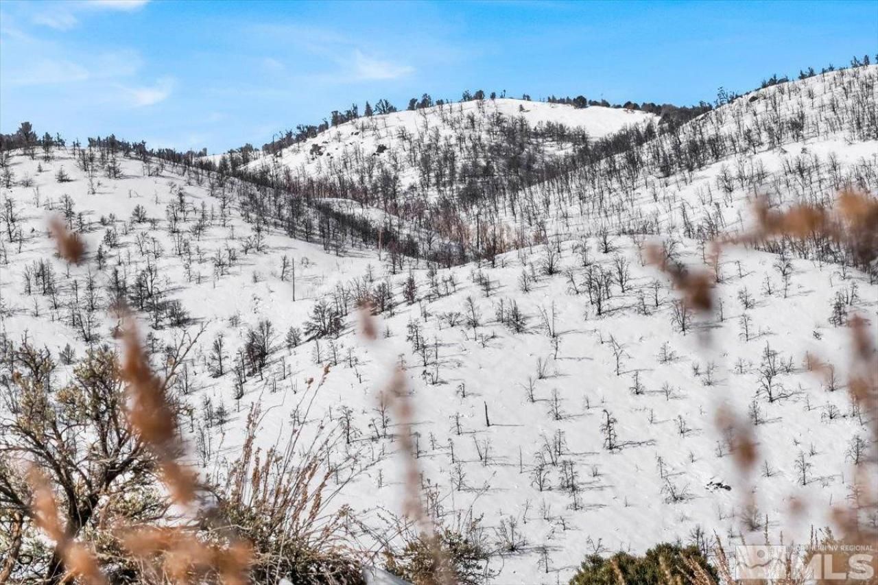 1534 Bolton Loop, Gardnerville, NV 89410 Photo