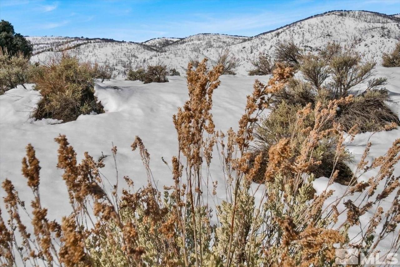 1534 Bolton Loop, Gardnerville, NV 89410 Photo