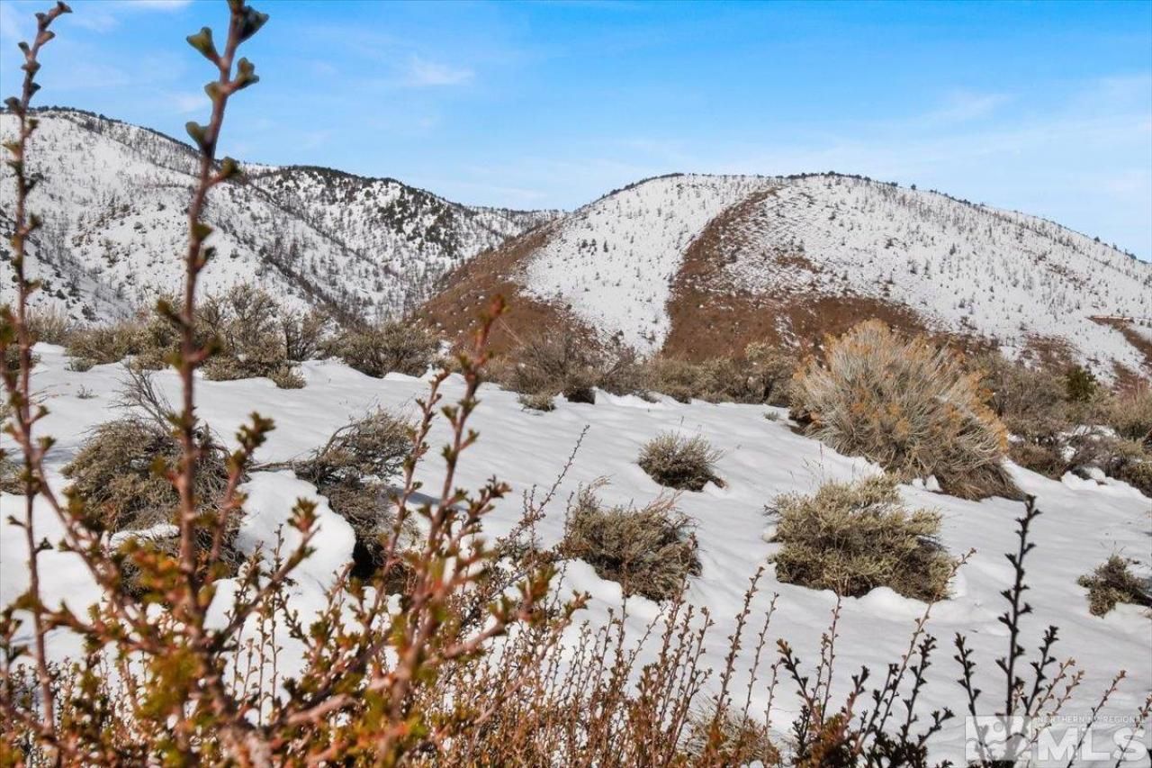 1534 Bolton Loop, Gardnerville, NV 89410 Photo