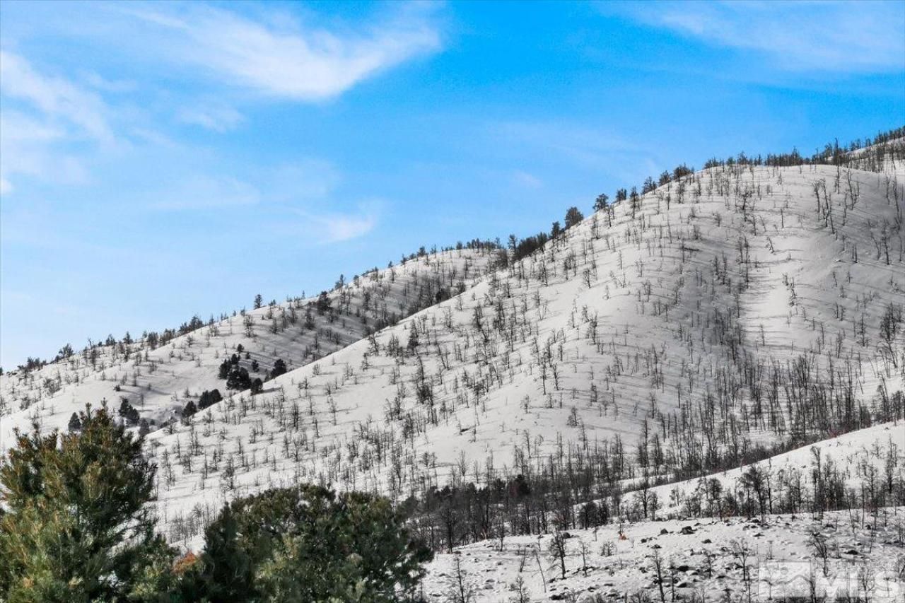 1534 Bolton Loop, Gardnerville, NV 89410 Photo