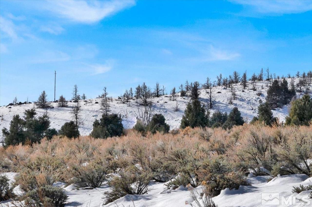 1534 Bolton Loop, Gardnerville, NV 89410 Photo