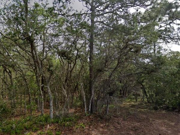 10 MILBARK DRIVE, HOMOSASSA, FL 34446