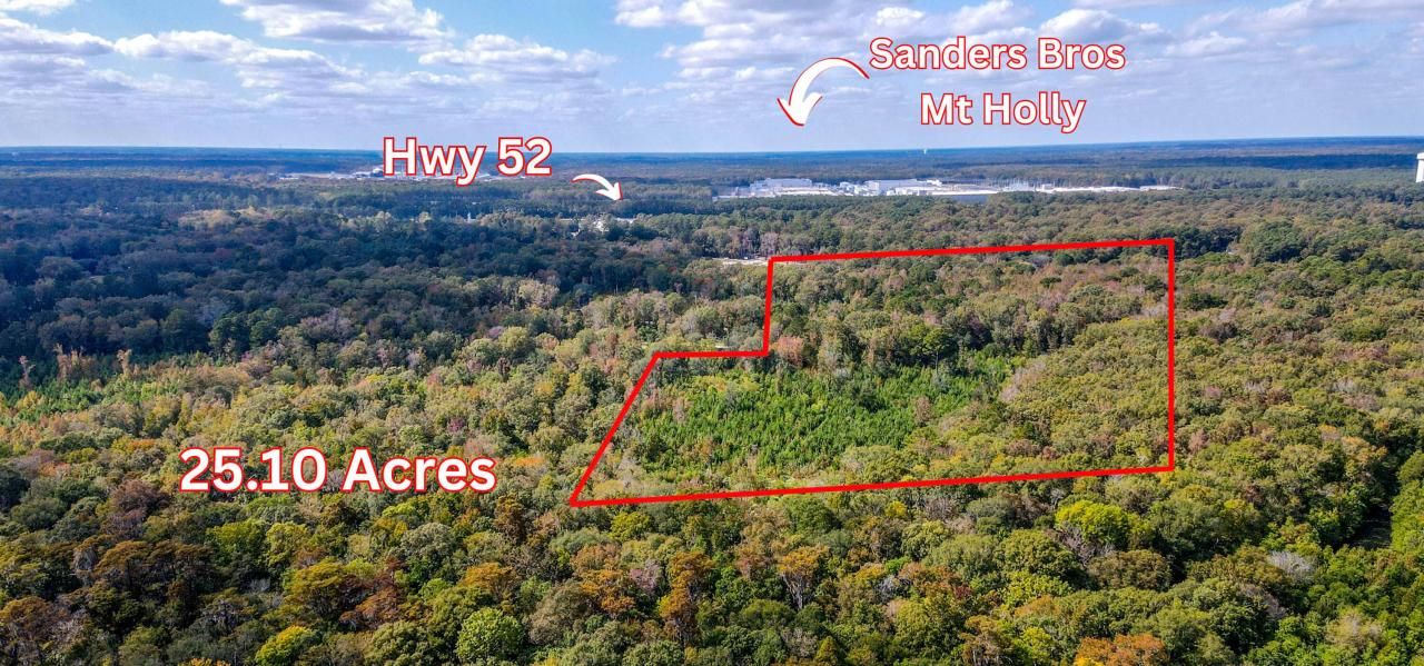 155 Goldenrod Lane Photo 1