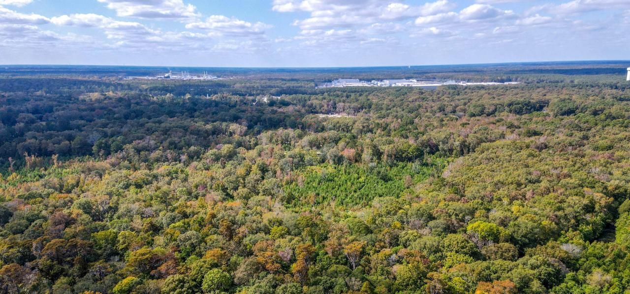 155 Goldenrod Lane Photo 3