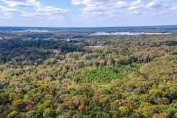 155 Goldenrod Lane photo 4