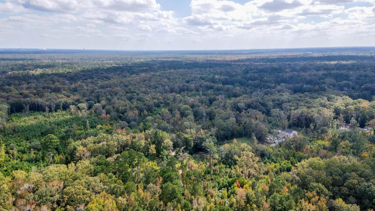 155 Goldenrod Lane Photo 4