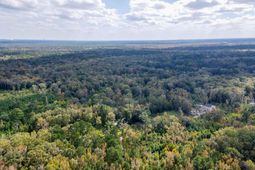 155 Goldenrod Lane photo 4