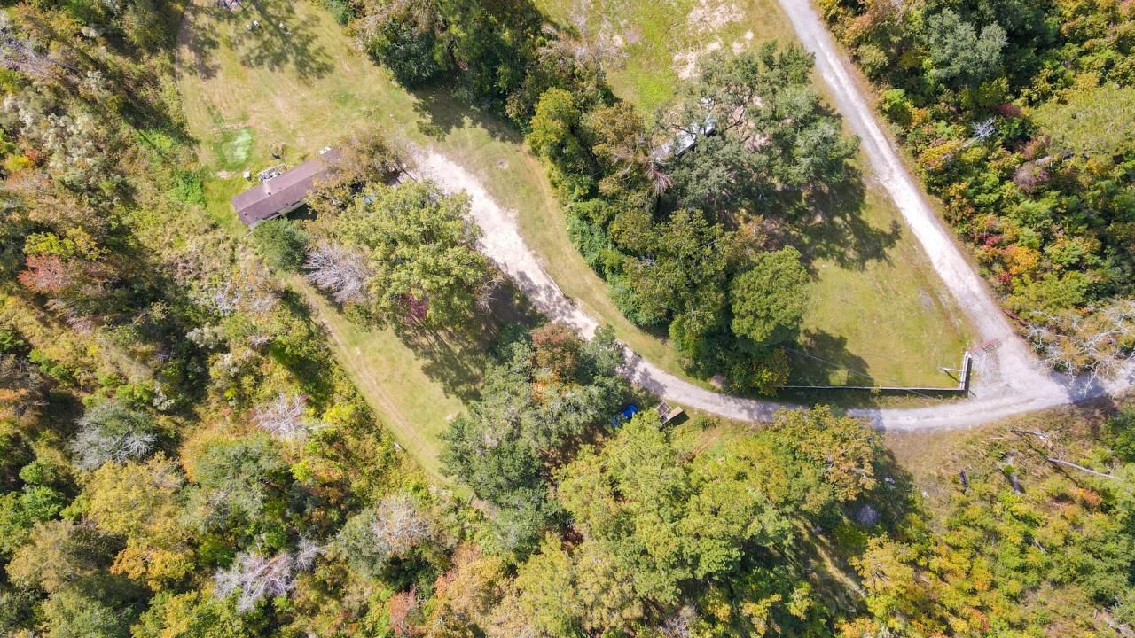 155 Goldenrod Lane Photo 7