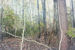 00 James Weston Drive photo 4