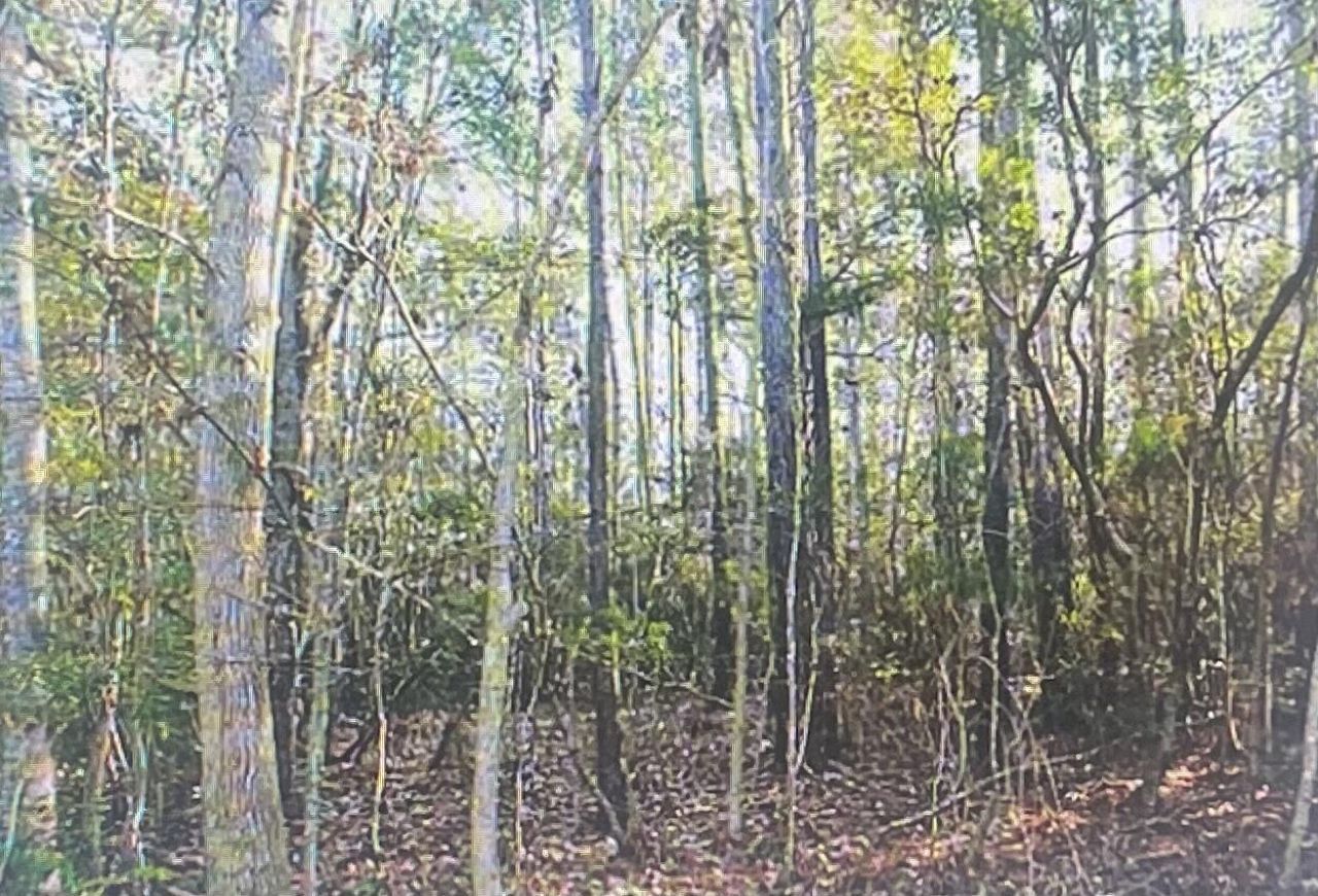 00 James Weston Drive Photo 4