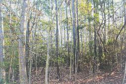 00 James Weston Drive photo 4