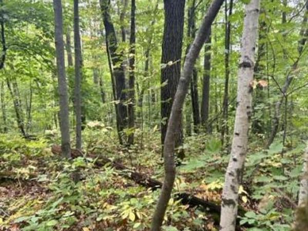 xxx Opal Lane, Cushing, MN 56443