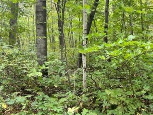 xxx Opal Lane, Cushing, MN 56443