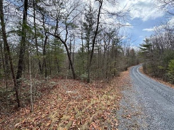 Lot 45 FETTERBUSH LN, Unit 45, HINTON, VA 22831