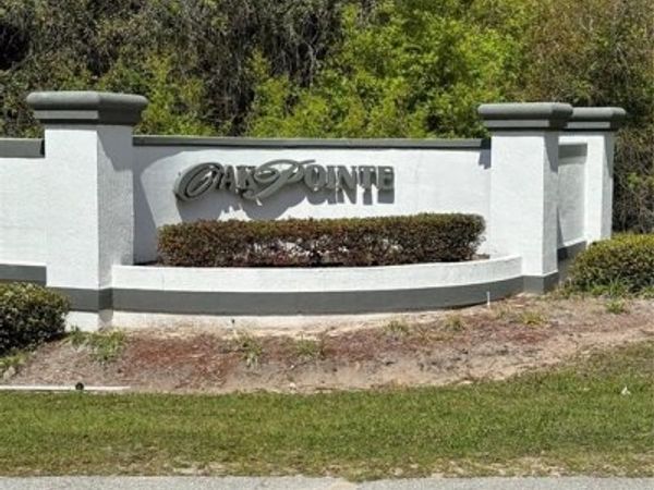 OAK POINTE DRIVE, LADY LAKE, FL 32159