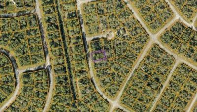 Havemeyer Street, North Port, FL 34288 Photo