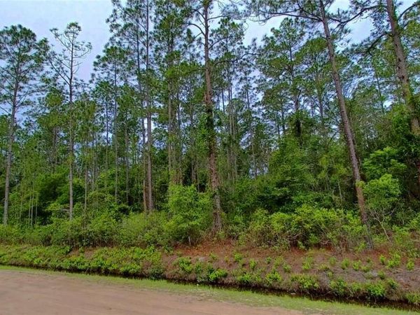 10695 ERICKSON AVENUE, HASTINGS, FL 32145