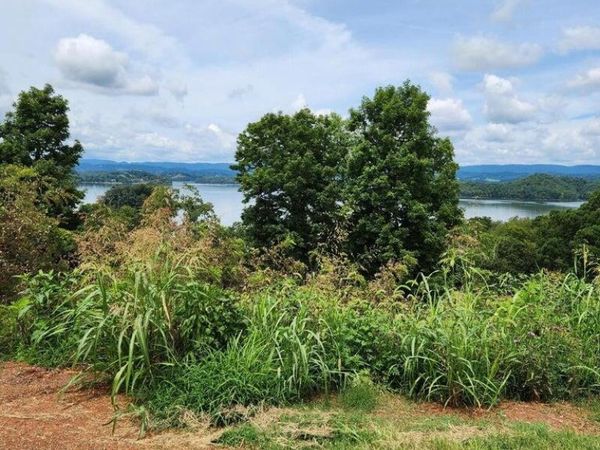 2643 Serenity Sound, Morristown, TN 37814