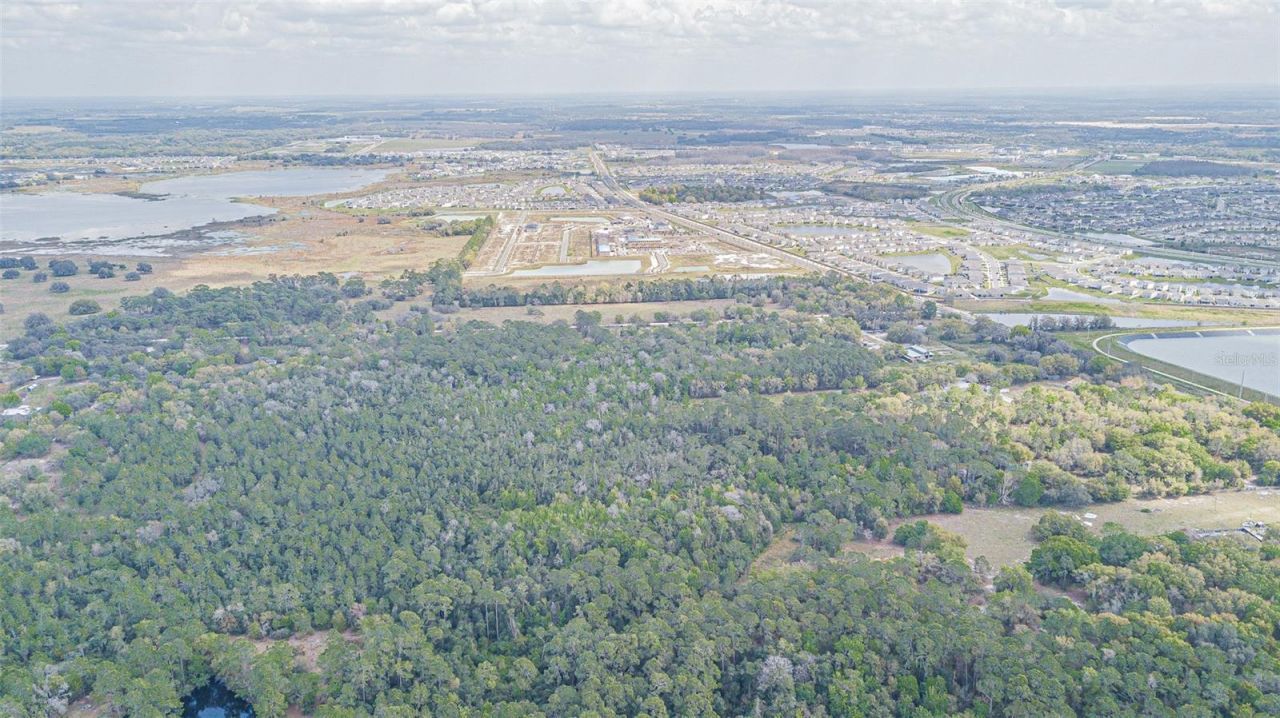 30651 Elam Road, Wesley Chapel, FL 33545 Photo