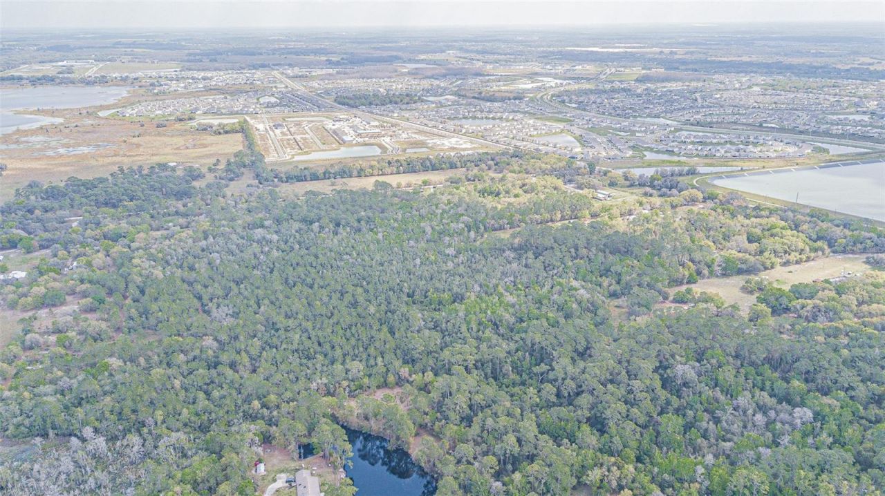 30651 Elam Road, Wesley Chapel, FL 33545 Photo