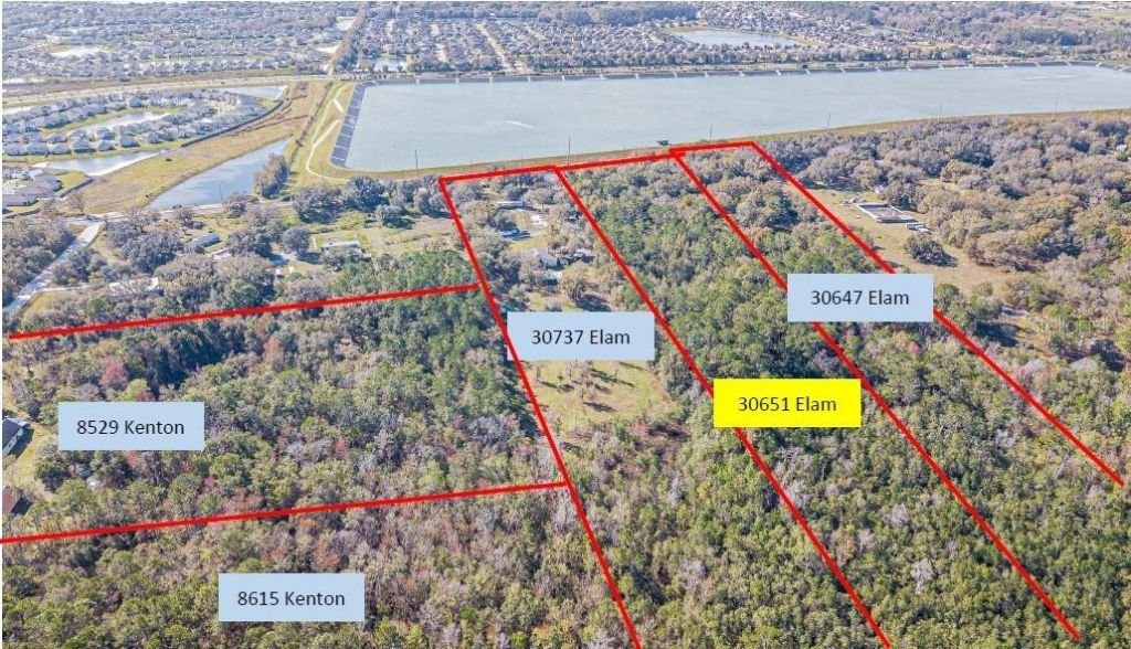 30651 Elam Road, Wesley Chapel, FL 33545 Photo